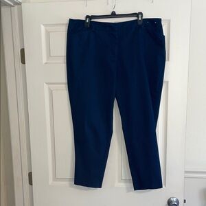 Classic Navy Cropped Pants 16W